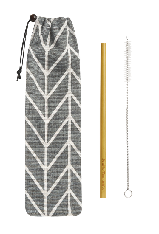 Bamboo Straw Set with Chevron Cotton Pouch